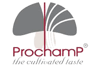 logo prochamp